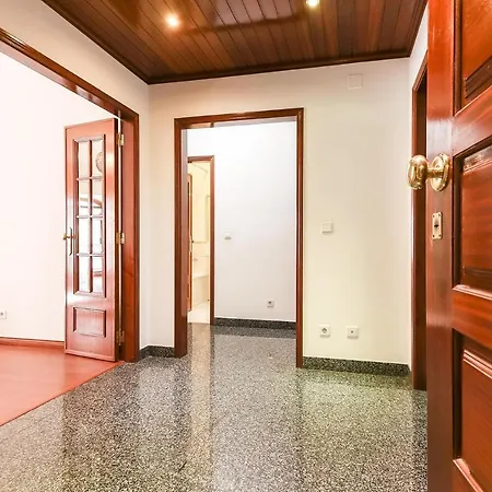 Apartment Downtown Typical By Homing Lisbon